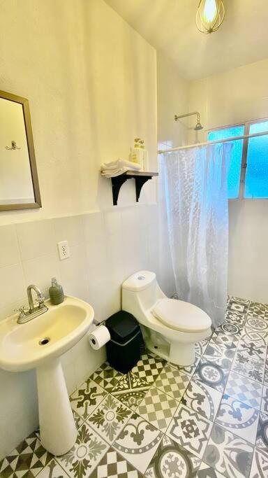Amazing Cozy Apartment In Condesa Mexiko-Stadt Exterior foto